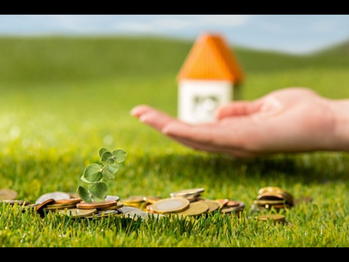 Unlocking Opportunity with Land Loans: A Guide with the aid of SouthStar Bank – Serenity LeaFf