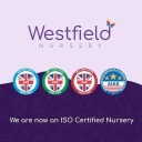 Early Childhood Education Dubai: Building Strong Foundations for Lifelong Learning – @westfieldnursery54 on Tumblr