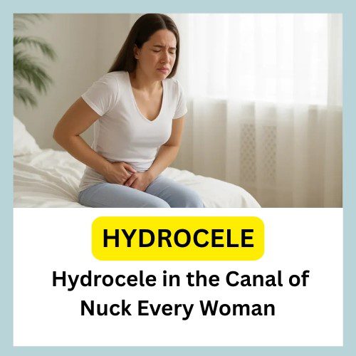 Hydrocele in the Canal of Nuck Every Woman Should Know: Shocking Facts Revealed - Herbal Care Products - Blog