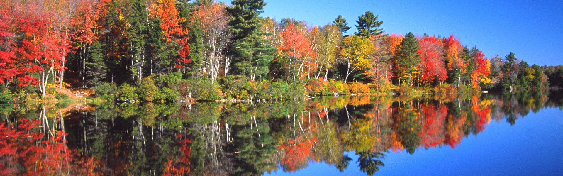 Alcohol Detox Near Albany, NY | Berkshire Mountain Detox