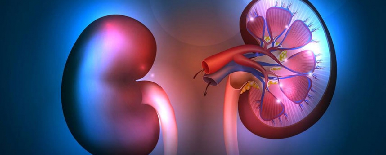 ferric carboxymaltose api (CAS:  9007-72-1) manufacturer and supplier