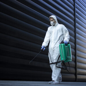 Limousine Vehicle Fleet for Hire for Business and Events – GetBacklink SEO