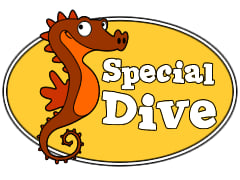 SSI Freiwasser Kurse in Wien  | Specialdive Tauchschule