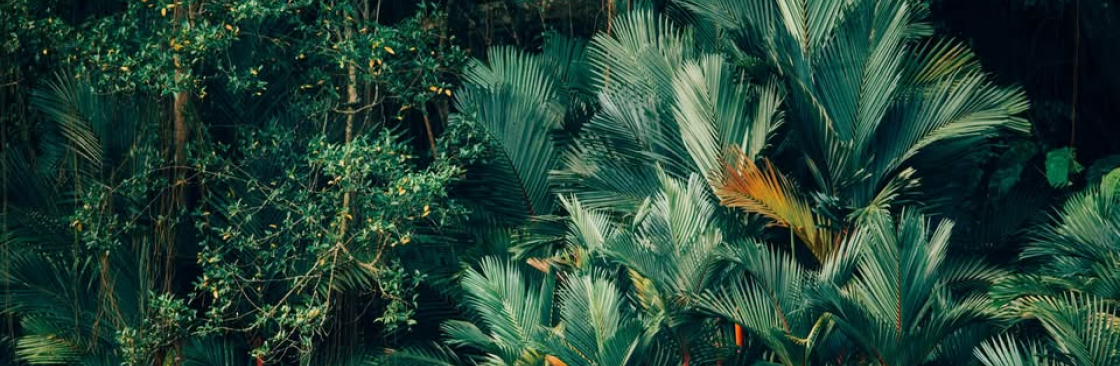 FlowState Therapy Cover Image