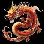 Naga5000 Legend Profile Picture