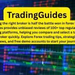 Trading Guides Profile Picture