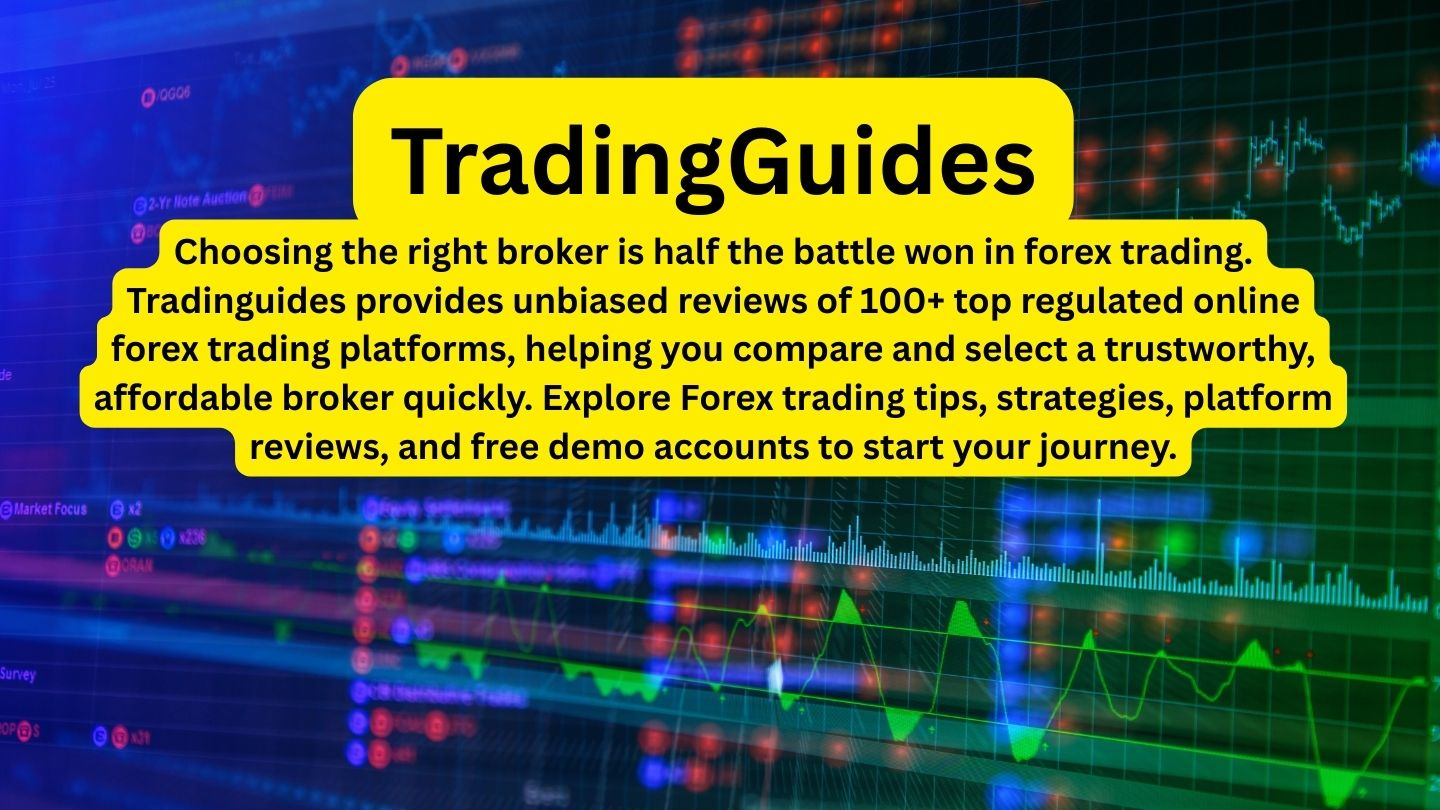 Trading Guides Profile Picture