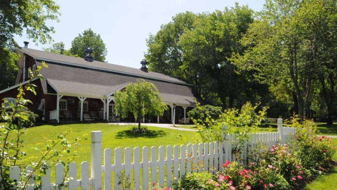 Nutrition and Wellness During Alcohol Treatment in Connecticut - ViralSocialTrends