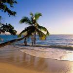 Olga Lunina Profile Picture