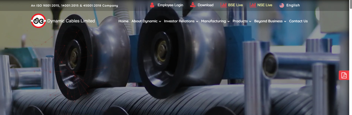 Dynamic Cables Cover Image