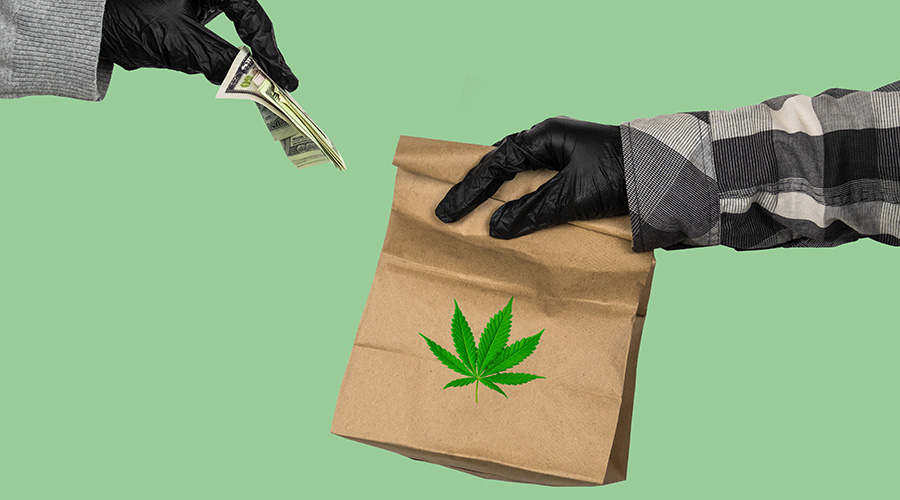 Cannabis Advertisements: 3 Marijuana Advertising Options Now