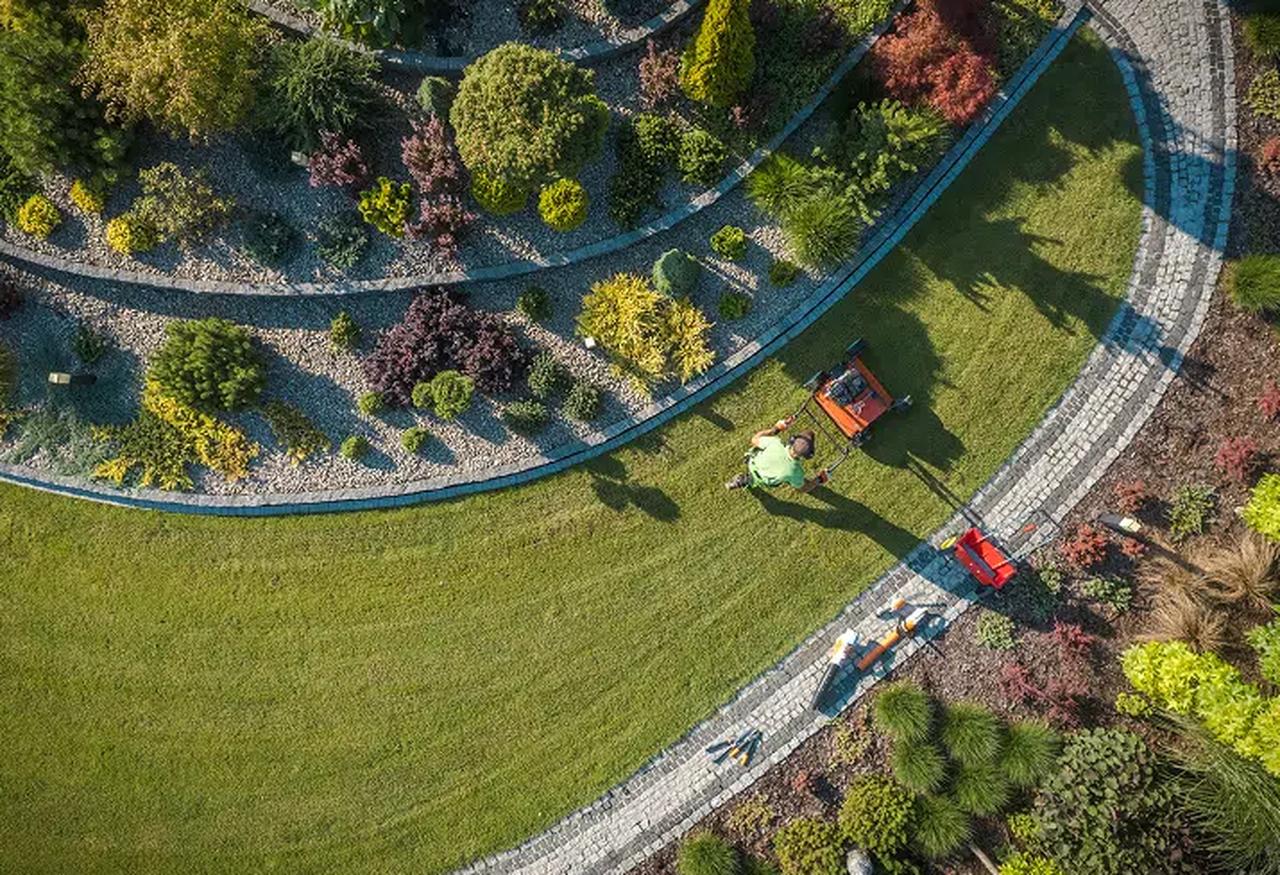 The Complete Guide to Lawn Aeration in Houston: Keep Your Grass Healthy | Articles | Criss Mario | Gan Jing World - Technology for Humanity | Video & Movie Streaming
