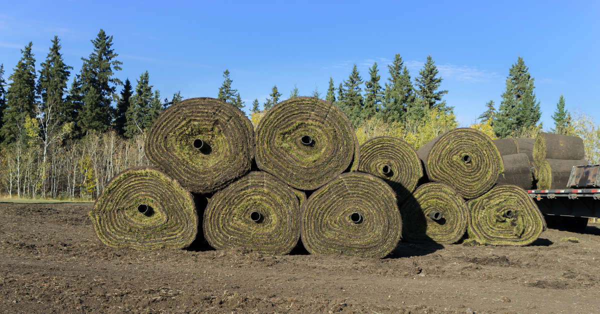 Choosing the Right Sod Roller for Your Business: Standard vs. Hydraulic Models - Spartan Equipment