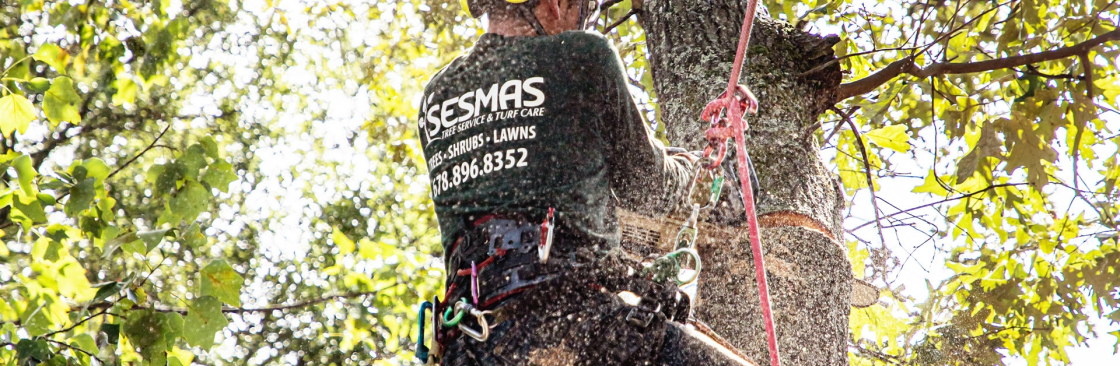 Sesmas Tree Service of Charlotte Cover Image