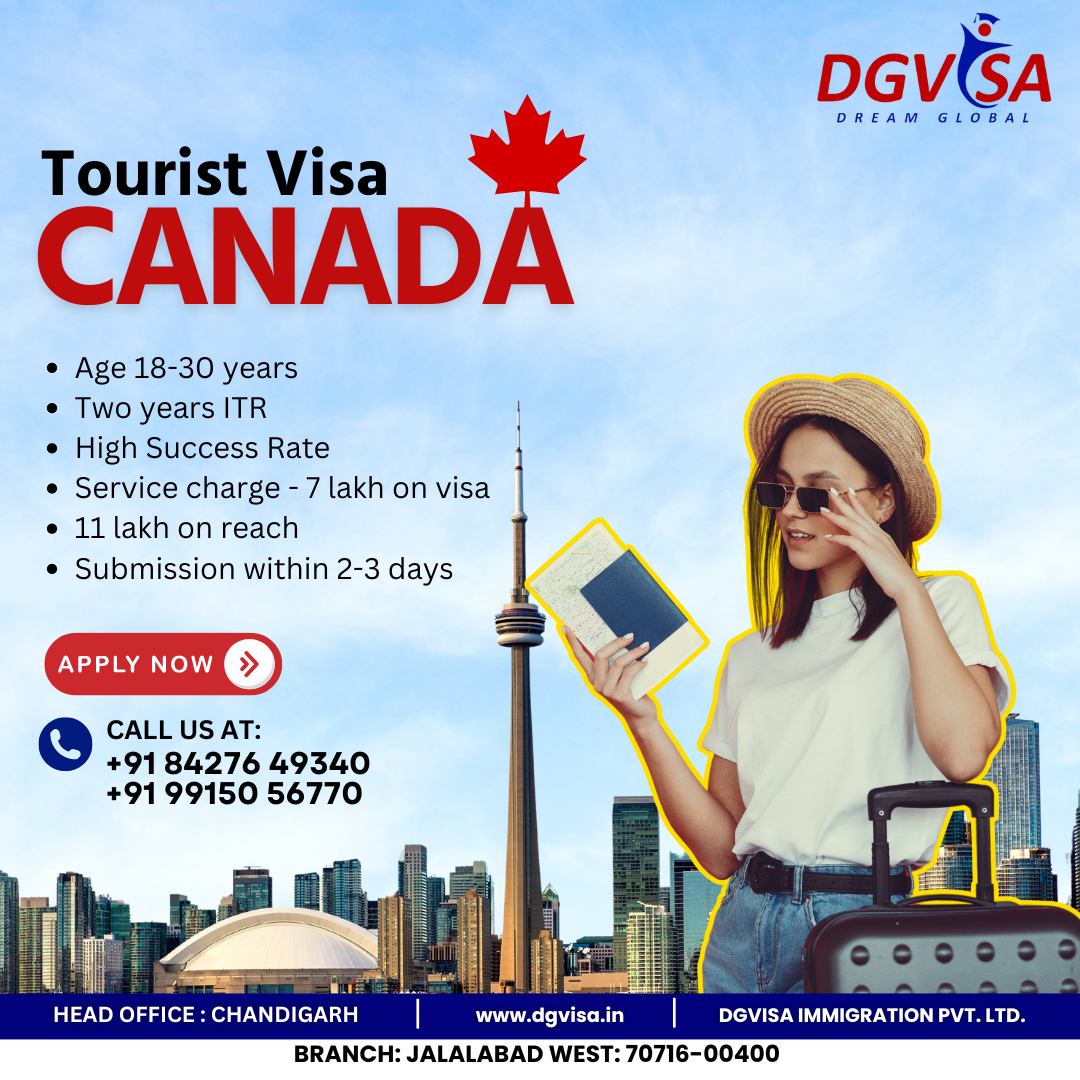 DG visa Profile Picture
