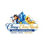Classy clean services Profile Picture