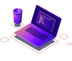 Custom Web Application Development Services | Nevina