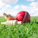 shyam cricekt id Profile Picture