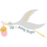 Up and Away Pups Profile Picture