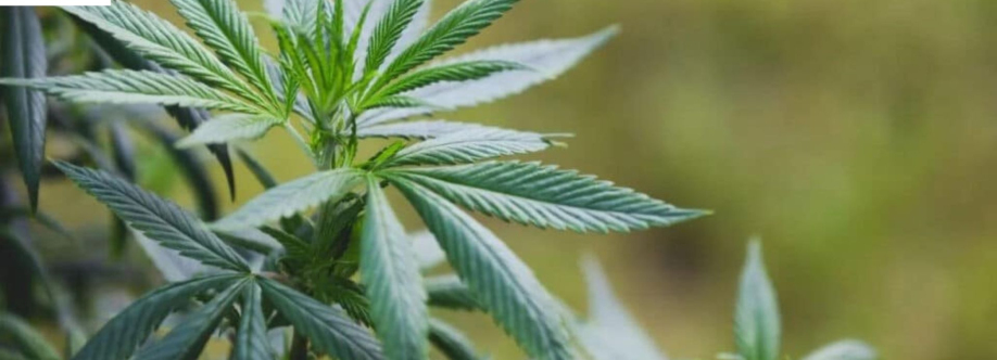 420 Accounting Services Cover Image